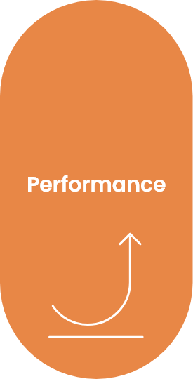 Performance